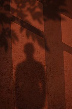 Shadows on the Wall van Marja van den Hurk