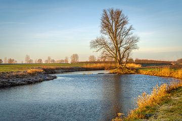 Brede sloot door een Nederlands polderlandschap van Ruud Morijn