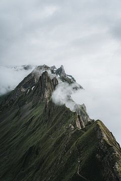 Cloud cover in the Swiss Alps by Felix Van Lantschoot
