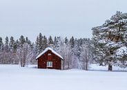 Kalter sonniger Wintertag in Schweden von Hamperium Photography Miniaturansicht
