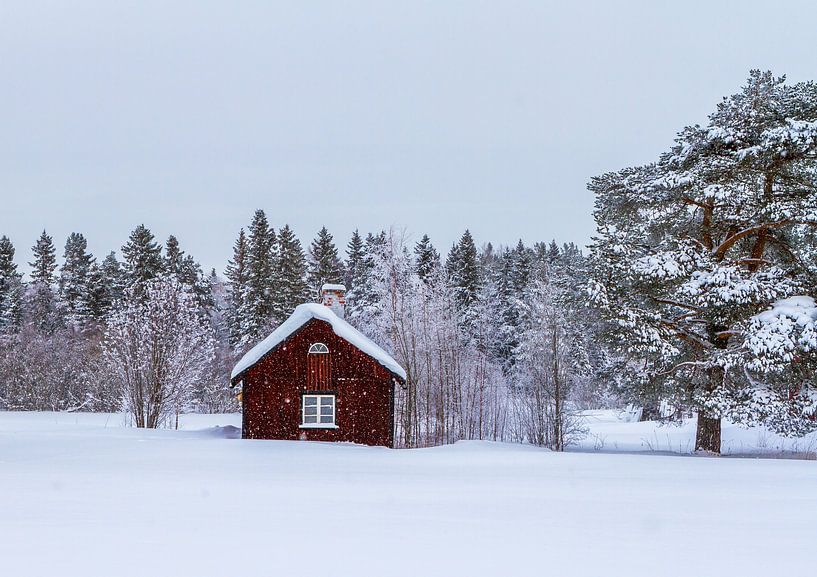 Een winterdag in het noorden van Zweden van Hamperium Photography