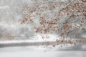 Winter van Ingrid Van Damme fotografie