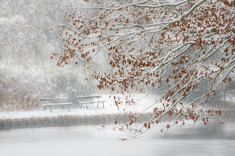 Winter van Ingrid Van Damme fotografie