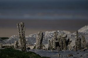 Erosion