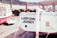 Lady Ann