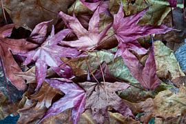 natural purple and green