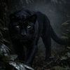 Une panthère noire qui se faufile silencieusement dans une forêt tropicale brumeuse – un moment mystique de puissance pure, de silence et d'élégance sauvage au cœur de la jungle profonde. sur Design Wall Arts