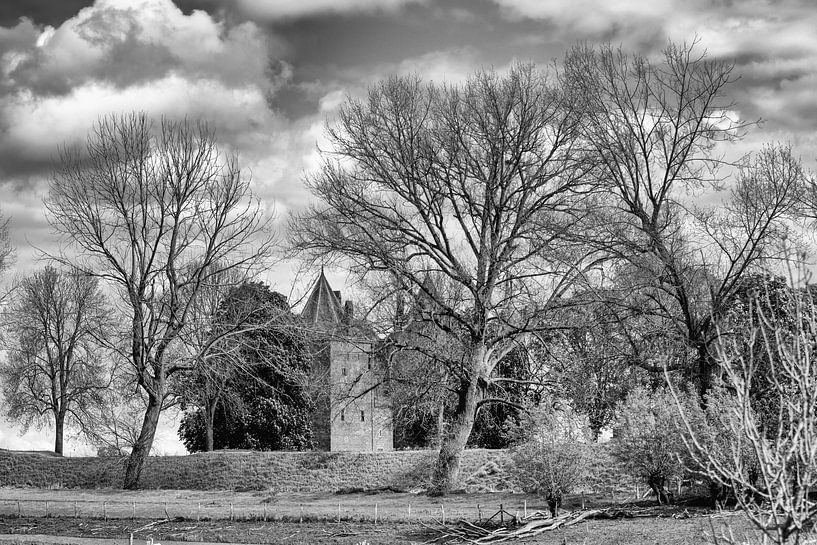 &quot;Nature seen achromatically&quot; by Wil Gulpen