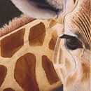 Giraf schilderij van Russell Hinckley thumbnail
