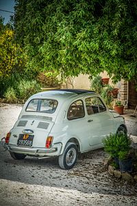 Fiat 500 sur Frans Scherpenisse