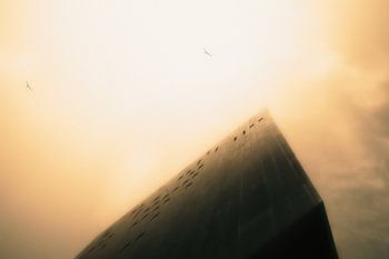 Grenzaußenposten, Arharrat-Wüste