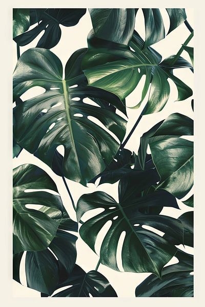 Monstera leaves - Tropical art print by Poster Art Shop