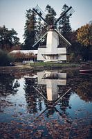 Palm mill Wood saw mill My Pleasure