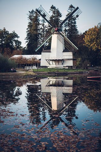 Paltrokmolen Houtzaagmolen Mijn Genoegen