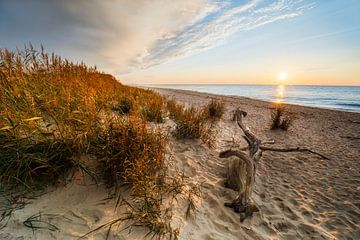 Zonsondergang op het strand van de Oostzee van Daniela Beyer