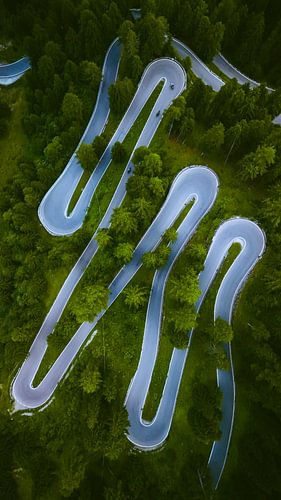 Haarnadelkurven des Stilfserjochs durch den Wald