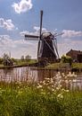 Molen De Biks van Marga Vroom thumbnail