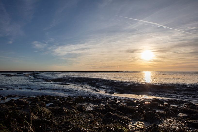 zonsondergang in het slijk van anne droogsma