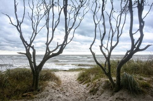 Toegang tot het strand van Poel
