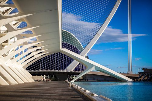 Stad van de Kunsten en Wetenschappen in Valencia