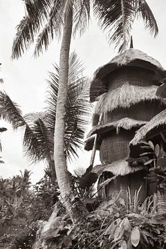 Maison dans les arbres avec palmier en sépia | photographie de voyage | Bali Indonésie