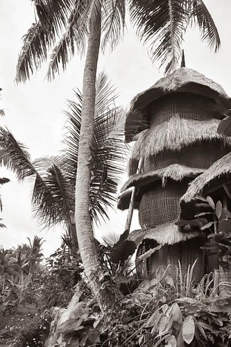 Tree house with palm tree in sepia | travel photography print | Bali Indonesia