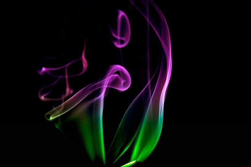 Trumpet  by Janny Kleijn
