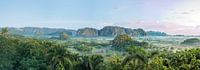 Panorama van Vinales Vallei Cuba van Celina Dorrestein thumbnail