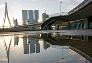 Erasmusbrug en kop van zuid in Rotterdam weerspiegelt van Remco Swiers thumbnail
