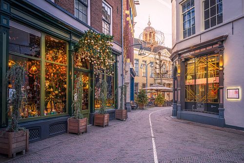 Zonnige Dagen bij Jackies met Uitzicht op de Lebuïnustoren in Deventer