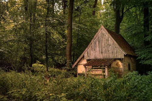 Hutje in het bos