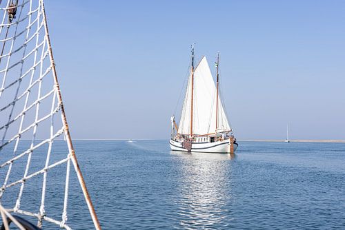 Das Segelschiff der Zukunft