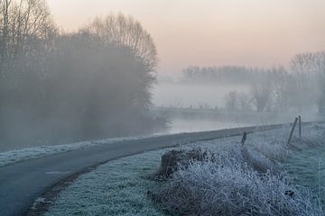 Ochtend mist langs de Dender van Marcel Derweduwen