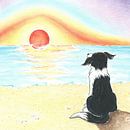 Sendie geniet van de zonsondergang aan zee van Rianne Brugmans van Breugel thumbnail