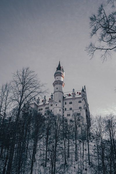Munich by Hello Pompoyo