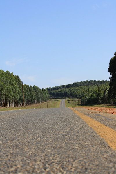 Zuid-Afrika by Marjolein Martens