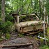 Auto in der Natur von Wendy van der Klift-Bartelings