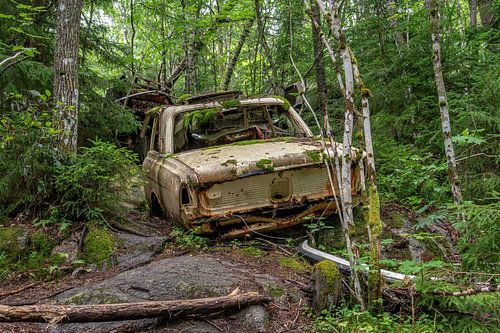Auto in de natuur