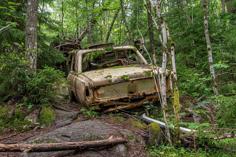 Car in nature by Wendy van der Klift-Bartelings