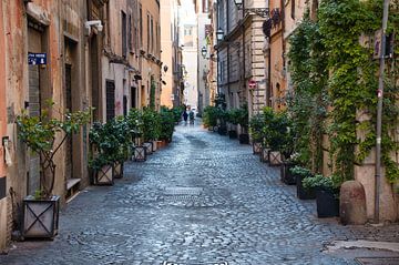 Verdure dans le centre ville de Rome, Italie sur Mike Bos