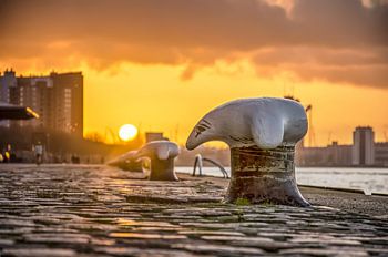 Sonnenuntergang Wilhelminapier