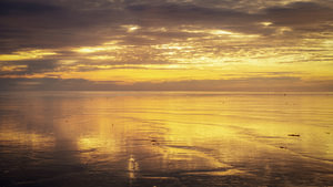 reflections on the mudflats