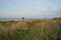 Les dunes de Texel