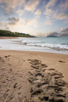 Plage de Clugny, strand in het Caribisch gebied Guadeloupe van Fotos by Jan Wehnert