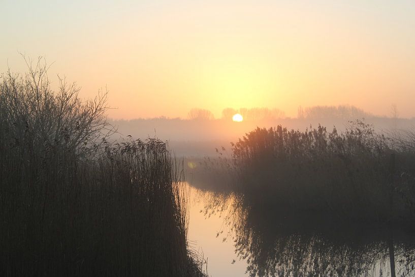 Beautiful sunrise in winter by Nature Oostzaan