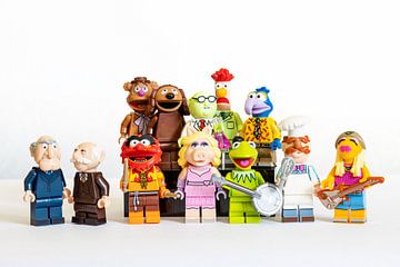 Muppets Lego mini figuren staand van Francisco Dorsman