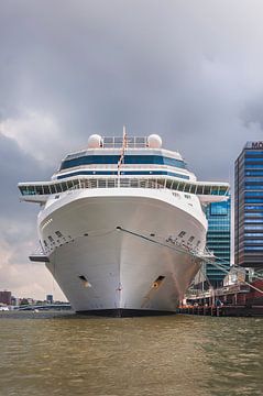 Cruiseschip op het Amsterdamse IJ van Anouschka Hendriks