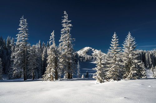 Landscape in winter in the Tannheimer Tal on the way to the Pirschling