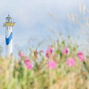 Adriaan Huys Fotograaf Profile picture