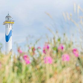 Adriaan Huys Fotograaf photo de profil